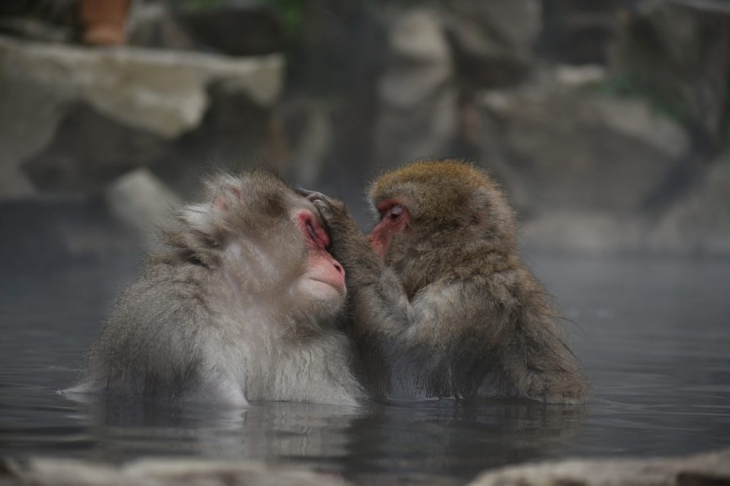 お風呂・温泉の温度の目安